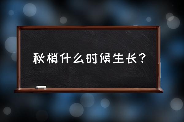 挂果树几时放秋梢 秋梢什么时候生长？