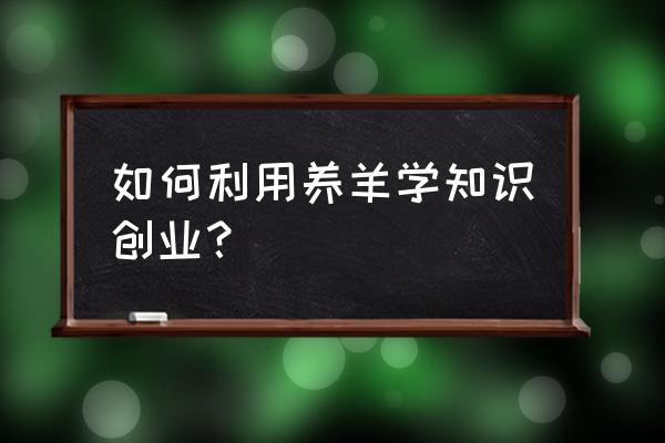 如何利用养羊知识创业 如何利用养羊学知识创业？