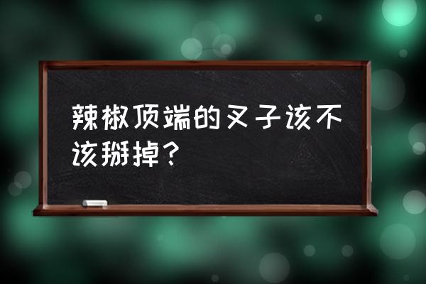 辣椒叉子需要打掉吗 辣椒顶端的叉子该不该掰掉？