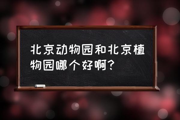 北京动物园跟植物园离得远吗 北京动物园和北京植物园哪个好啊？