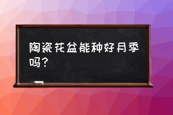 养月季用什么花盆 陶瓷花盆能种好月季吗？