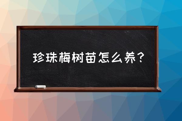 珍珠梅盆景怎么样 珍珠梅树苗怎么养？