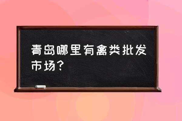 青岛哪里有卖散养鸡的 青岛哪里有禽类批发市场？