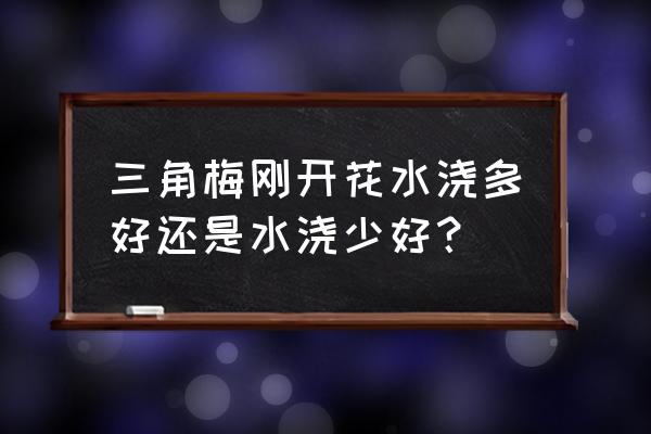 三角梅刚开花怎么浇水 三角梅刚开花水浇多好还是水浇少好？