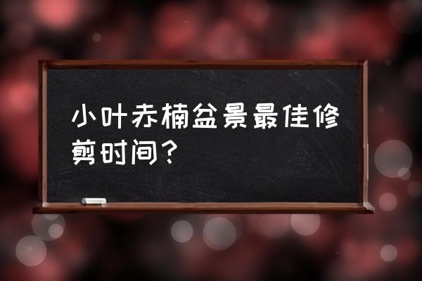 赤楠盆景什么时间修剪 小叶赤楠盆景最佳修剪时间？