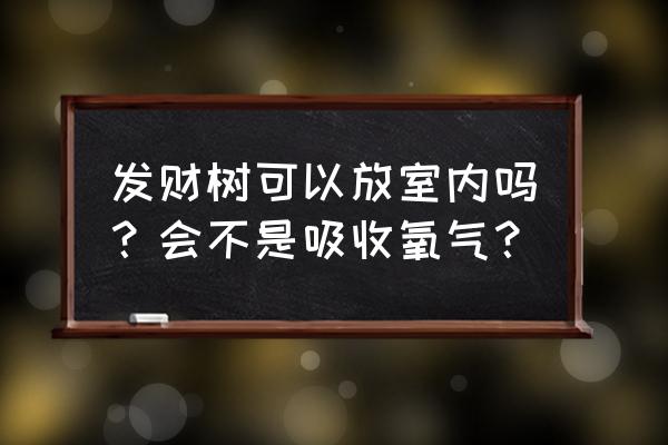 房间能放发财树吗 发财树可以放室内吗？会不是吸收氧气？