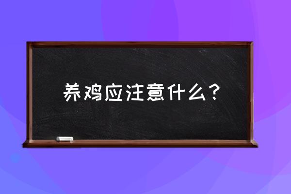 养鸡需要注意什么细节 养鸡应注意什么？