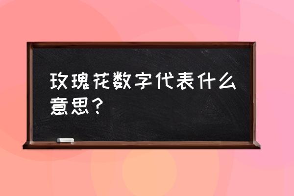 04朵玫瑰花代表什么意思 玫瑰花数字代表什么意思？