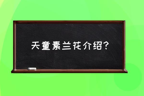 宁波哪里有兰花养殖 天童素兰花介绍？