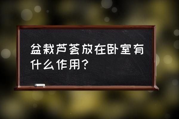 盆栽芦荟有什么用处 盆栽芦荟放在卧室有什么作用？