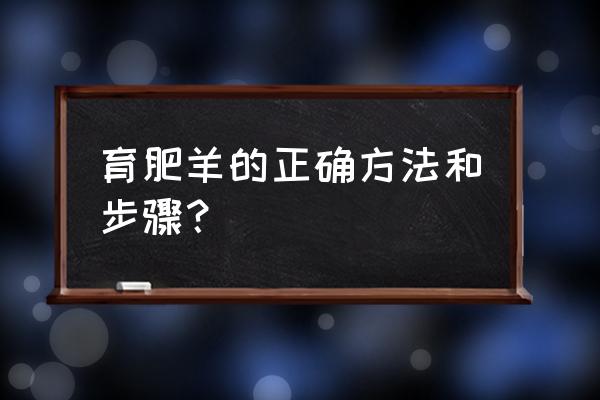 养羊育肥羊怎么喂 育肥羊的正确方法和步骤？