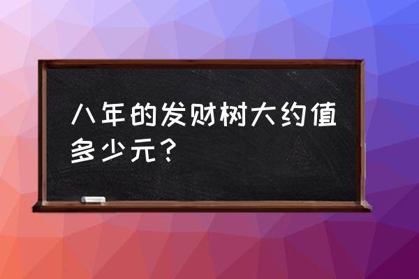 发财树一棵最少多少钱 八年的发财树大约值多少元？