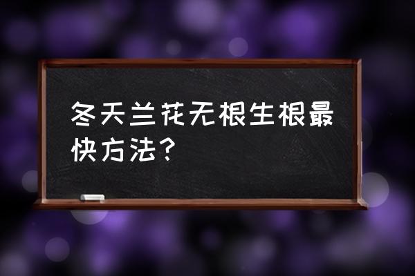 兰花没有根能用水泡活吗 冬天兰花无根生根最快方法？