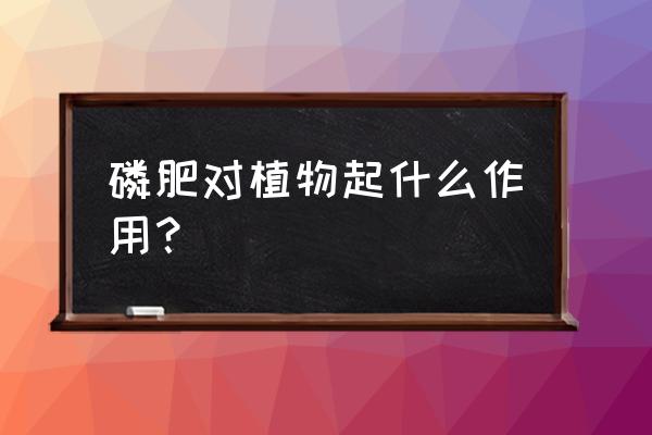 磷肥对植物生长起着什么作用 磷肥对植物起什么作用？