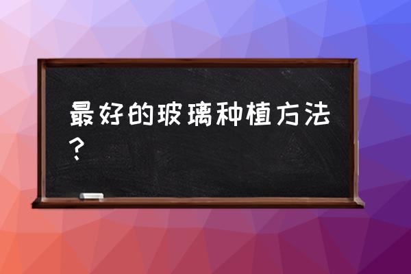 芦荟可以用玻璃盆栽吗 最好的玻璃种植方法？