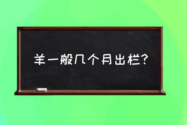 新手养羊多长时间出栏 羊一般几个月出栏？