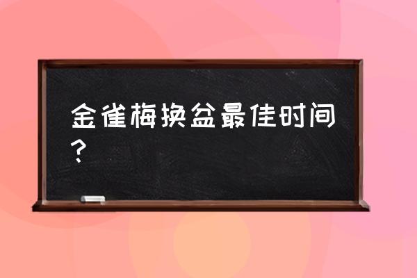 雀梅老桩盆景怎样换盆换土与浇水 金雀梅换盆最佳时间？