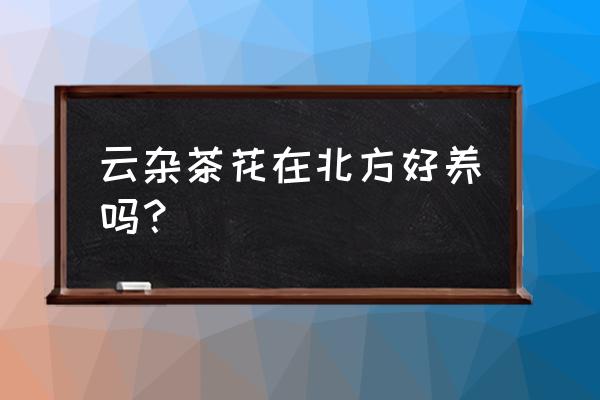 云南的茶花北方可以种吗 云杂茶花在北方好养吗？