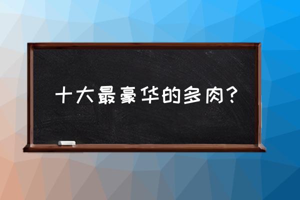 哪种多肉植物最贵的 十大最豪华的多肉？