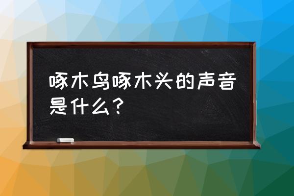 虫子咬木头是什么声音 啄木鸟啄木头的声音是什么？