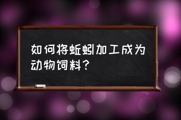 蚯蚓怎么制成饲料喂鸡 如何将蚯蚓加工成为动物饲料？