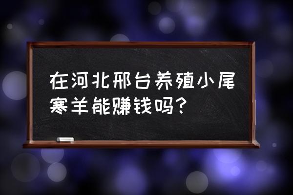 邢台适合什么养殖业 在河北邢台养殖小尾寒羊能赚钱吗？