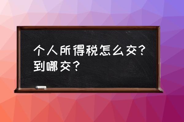 泰州交个人所得税在什么地方 个人所得税怎么交?到哪交？