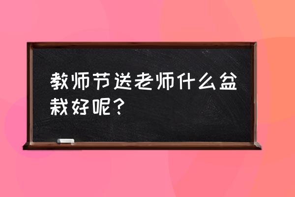 什么多肉植物送给老师最好 教师节送老师什么盆栽好呢？