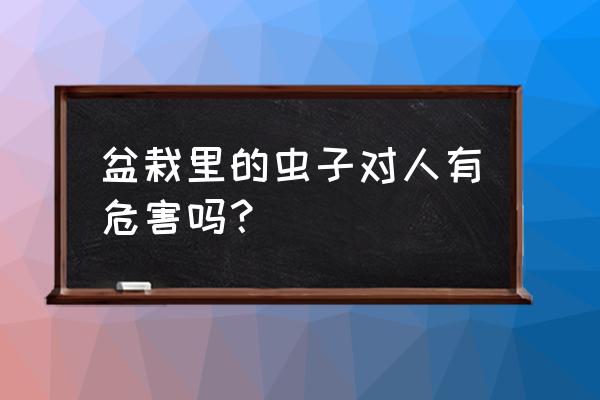 花盆小虫子宝宝吃了怎么办 盆栽里的虫子对人有危害吗？