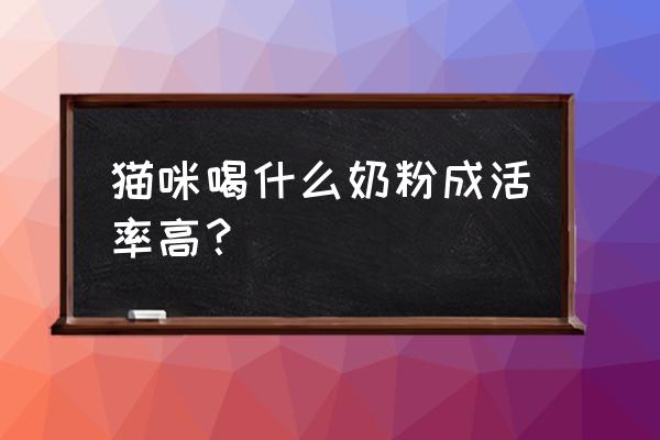 小猫咪喝什么奶粉 猫咪喝什么奶粉成活率高？