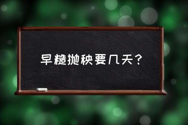 水稻施复合肥后几天能排水 早糙抛秧要几天？