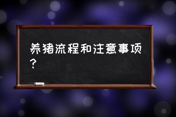 韩国养猪场怎样养猪 养猪流程和注意事项？