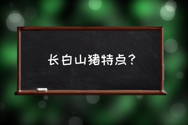 长白山猪好不好 长白山猪特点？