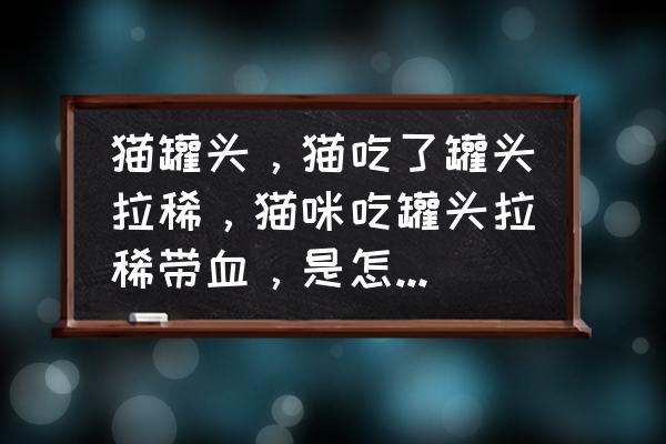 猫吃太多罐头会拉稀吗 猫罐头，猫吃了罐头拉稀，猫咪吃罐头拉稀带血，是怎么回事？