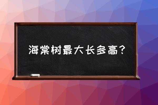 海棠树苗一年能长多少 海棠树最大长多高？