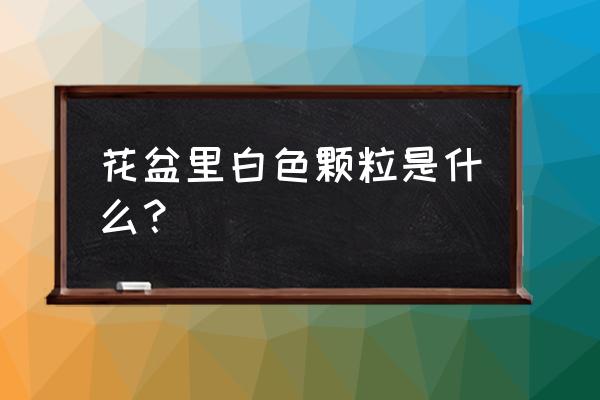 花盆中白色的东西是什么原因 花盆里白色颗粒是什么？