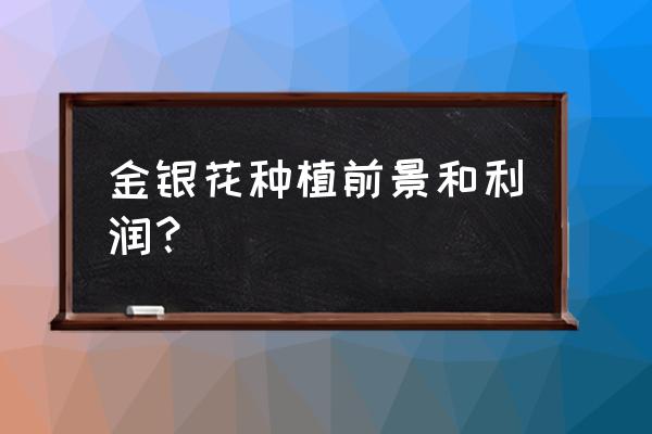 金银花盆景好卖吗 金银花种植前景和利润？