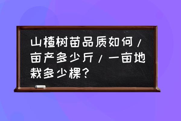 大五棱山楂树苗亩产多少 山楂树苗品质如何/亩产多少斤/一亩地栽多少棵？