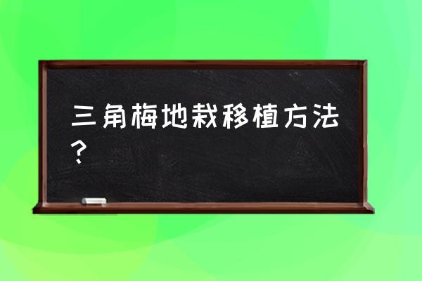 三角梅怎样移栽 三角梅地栽移植方法？