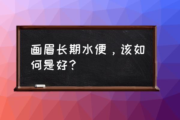 画眉鸟拉稀吃什么饲料好 画眉长期水便，该如何是好？