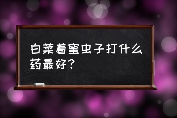 谷丰鸟吡虫啉白菜能喷施吗 白菜着蜜虫子打什么药最好？