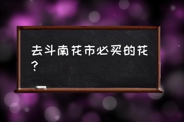 昆明斗南花卉市场什么花好卖 去斗南花市必买的花？