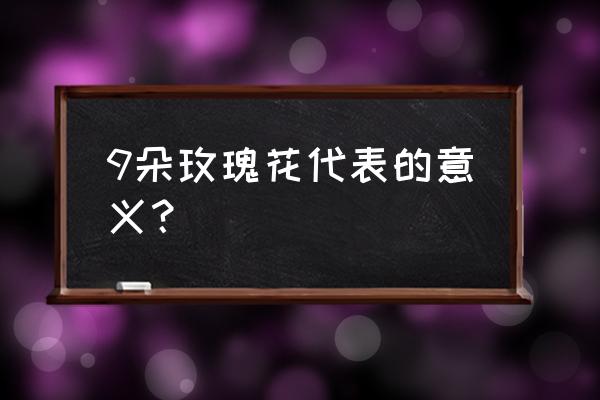 9朵紫玫瑰代表什么意思 9朵玫瑰花代表的意义？