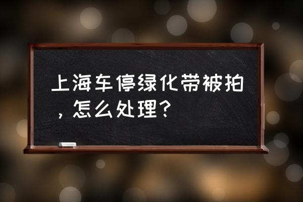 汽车停在绿化带上怎么办 上海车停绿化带被拍，怎么处理？