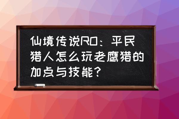 大号猎人小号玩什么好仙境传说 仙境传说RO：平民猎人怎么玩老鹰猎的加点与技能？