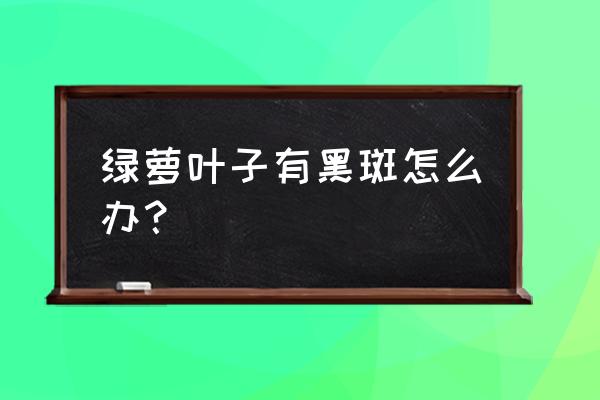 多菌灵可以去除绿萝的叶斑病吗 绿萝叶子有黑斑怎么办？