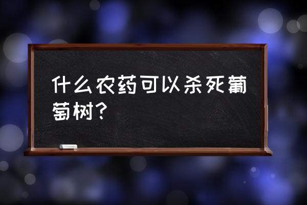 葡萄树和桃树地能不能打除草剂 什么农药可以杀死葡萄树？