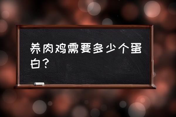 肉鸡饲料里能加多少米蛋白粉 养肉鸡需要多少个蛋白？