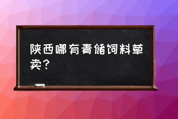 陕西哪里收购青储饲料 陕西哪有青储饲料草卖？