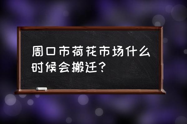 河南周口荷花批发市场在哪里 周口市荷花市场什么时候会搬迁？